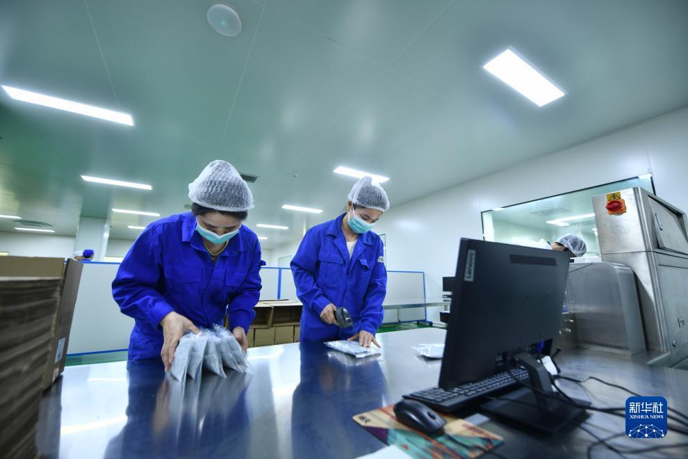 果敢老街华纳开户
